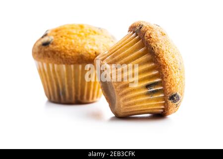 Vanilla muffins. Sweet cupcakes isolated on white background. Stock Photo