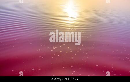 Pink lake water background with the glow of sunlight at sunset. Salt crystals floating on top of water. Stock Photo