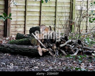 Log pile in a local park Stock Photo