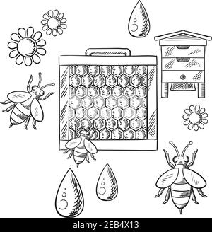 Beekeeping and apiary sketched objects with beehive, frame with honeycombs and bees flying around flowers and drops of honey. Vector sketch Stock Vector