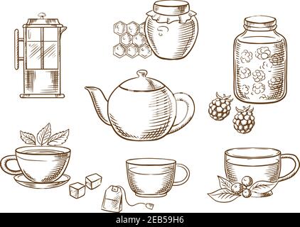 Sketched tea icons with jars, honey and raspberry jam, french press, various teacups with tea bag, sugar cubes, fresh leaves of mint and cowberry with Stock Vector