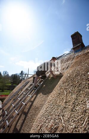 Thatching a Somerset cottage using wheat and traditional hazel spurs Stock Photo