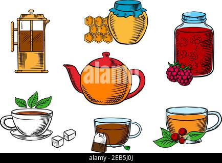 Tea icons with jars, honey and raspberry jam desserts, french press, various teacups with tea bag, sugar cubes, fresh leaves of mint and cowberry with Stock Vector