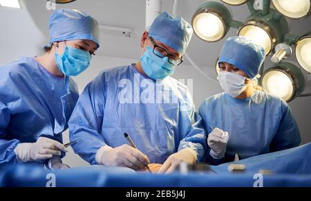 Doctors performing aesthetic surgery while patient lying on operating table. Surgeon and assistants performing cosmetic surgery in operating room. Concept of medicine, abdominoplasty, plastic surgery. Stock Photo