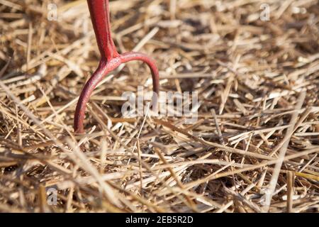 Traditional thatching tools and products Stock Photo