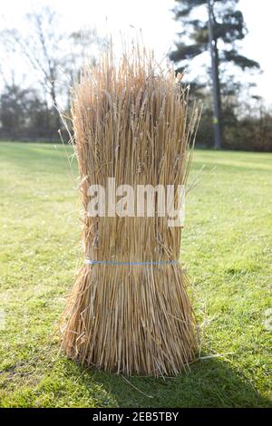 Traditional thatching tools and products Stock Photo