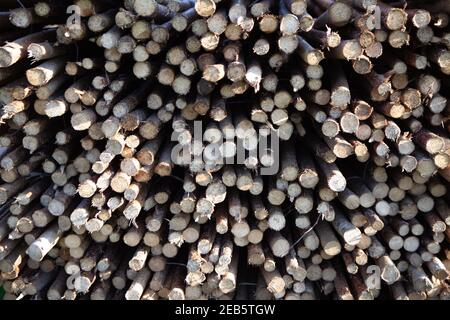 Traditional thatching tools and products Stock Photo