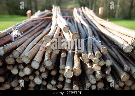 Traditional thatching tools and products Stock Photo