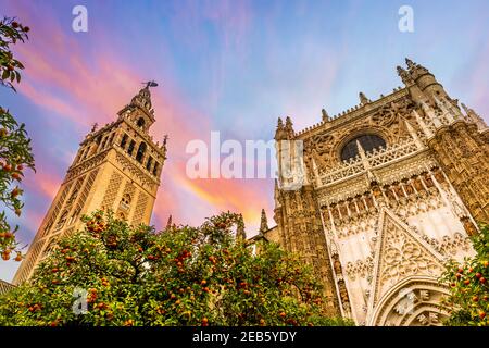 Seville Cathedral and the Giralda, from the Orange Garden, in Seville, Andalusia, Spain Stock Photo