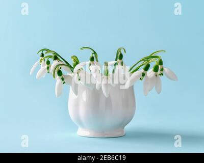 Beautiful delicate snowdrops in a white vintage ceramic vase on a blue background. Small bouquet of the first spring flowers Galanthus Nivalis. Vintag Stock Photo