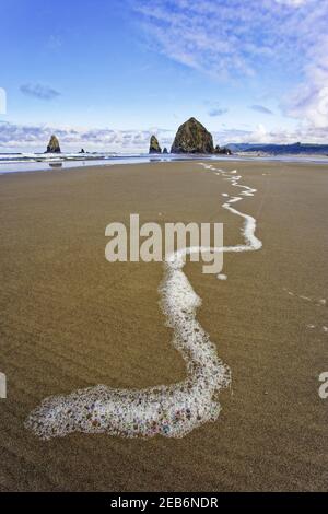 Haystack Rock at low tideCannon Beach Oregon, USA LA000951 Stock Photo