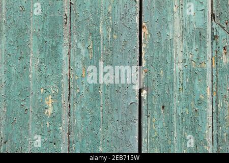 Distressed green wood texture background. Rough wooden door boards. Old wood backdrop. Stock Photo