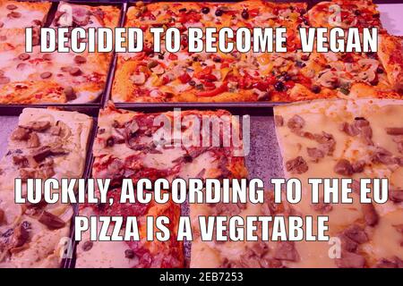 Pizza funny meme for social media sharing. Pizza is a vegetable meme. Stock Photo