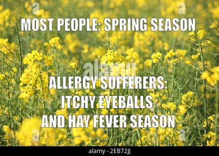 Allergies season funny meme for social media sharing. Spring time pollen allergy hayfever problems. Stock Photo