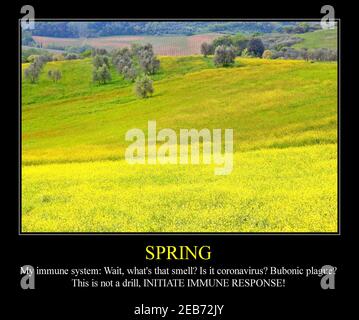 Allergy funny meme for social media sharing. Spring season allergic hay fever problems. Stock Photo
