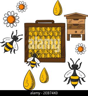 Beekeeping concept in flat style showing beehive, frame with honeycombs and bees flying around flowers and drops of honey on orange background with te Stock Vector