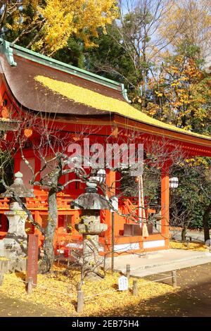 KYOTO, JAPAN - NOVEMBER 25, 2016: Kitano Tenmangu shrine autumn view in Kyoto, Japan. 19.7 million foreign tourists visited Japan in 2015. Stock Photo