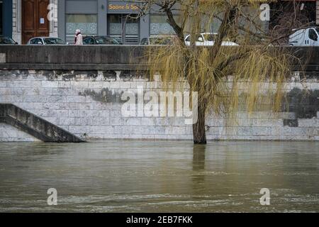 Lyon (France), February 10 2021. Quai de Saône during a flood with a tree in the water. Stock Photo