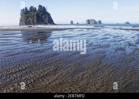 Offsore Sea Stacks and Sandy Beach at Low TideSecond Beach Olympic National Park Washington State USA LA001624 Stock Photo