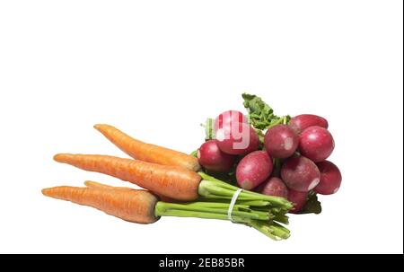 fresh vegetables bunches on isolated white background, fresh radishes, carrots neat natural homemade tied bunches Stock Photo