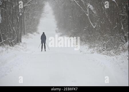 UNITED STATES - 02-01-21: A cross country skier makes her way down Ridgeside Road near Bluemont. Western Loudoun had heavy wet snow all day with total Stock Photo