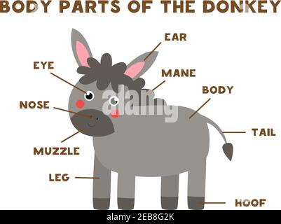 Body parts of the cute cartoon farm cow. Animals anatomy in English for ...
