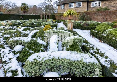 The formal Knot Garden at RHS Garden, Wisley, Surrey, south-east England, in winter with neat clipped topiary bushes and hedges covered in snow Stock Photo