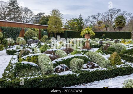 The formal Knot Garden at RHS Garden, Wisley, Surrey, south-east England, in winter with neat clipped topiary bushes and hedges covered in snow Stock Photo