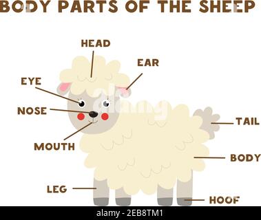 Body parts of the cute cartoon farm cow. Animals anatomy in English for ...