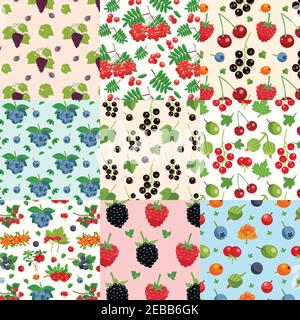 Set of nine seamless berries patterns with twigs of red and black currant raspberry blueberry dewberry flat vector illustration Stock Vector