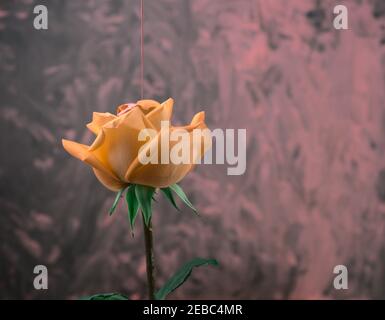 Vintage style. Acrylic fluid color pouring on yellow rose. Head on, side view of single blooming flower with irregular grunge acrylic abstract. Stock Photo