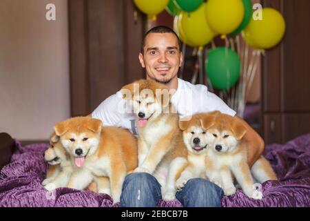 Handsome guy have fun hugs and play with akita inu puppies. Stock Photo