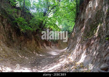 Loess ravine 'Korzeniowy Dół' in the city of Kazimierz Dolny, Poland. Stock Photo