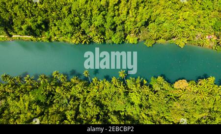 The river in the rainforest among the green lush vegetation. Loboc River view from the top. Bohol, Philippines. Stock Photo