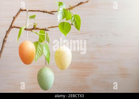 Pastel color Easter eggs on branch with fresh leaves in spring on wooden vintage background. Minimalistic Eastern decoration. Easter mood decoration. Stock Photo