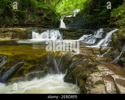 Sgwd Isaf Clun-gwyn (Lower Fall of the White Meadow) waterfall on the Afon Mellte river in the Bannau Brycheiniog (Brecon Beacons) National Park near Ystradfellte, Powys, Wales. Stock Photo