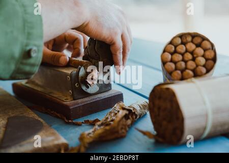 Man cutting cuban cigars with tobacco leaves on table Stock Photo