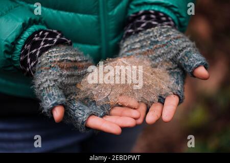 Woman Holds Onto a Dead Leaves Wearing Gloves in winter Stock Photo