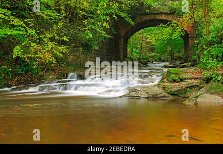 Bridge over May Beck near Falling Foss in North York Moors National Park Stock Photo