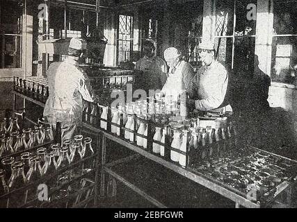 An early  1930's printed photograph taken in a milk bottling plant in a 1930's British dairy. The man on the right is seen sealing (capping) individual bottles whilst all employees wear white gowns and caps for hygiene purposes. Bottles would have been imbossed with the dairy's name. Stock Photo