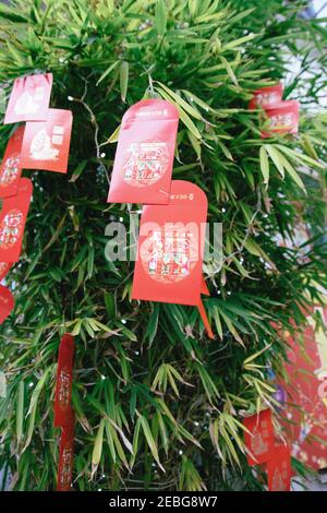 China Town, London, UK, 12th February 2021. Chinese New Year decorations. Chines New Year is a major event, although due to Covid 19 celebrations have been cancelled this year. Decorations were still put up in China Town. This year is the year of the Ox. Envelopes hang on a tree outside a restaurant for monetary gifts. Stock Photo