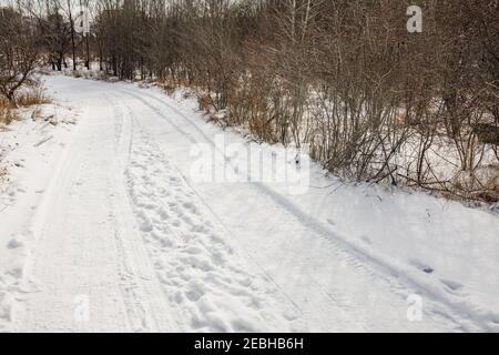 Road through the forest covered with snow, tracks of vehicles. Stock Photo