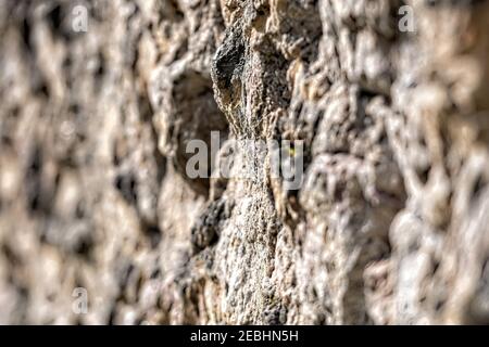 decorative exterior wall plaster with embossed surface, selective focus Stock Photo