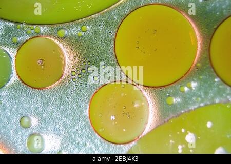 Colorful oil drops on a water surface ideal for background Stock Photo