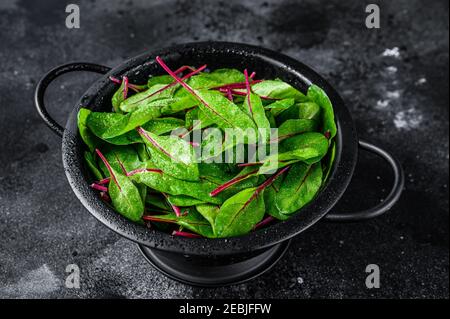 Fresh green chard mangold leaves in colander. Black background. Top view Stock Photo