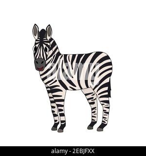 Vector Black and white cute outline cartoon zebra. Side view. Animal is smiling, isolated on white background Stock Vector