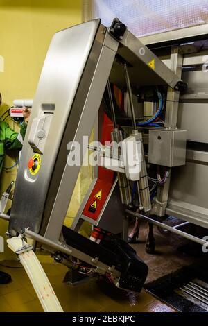 Milking the cows with a fully automated milking robot. Stock Photo