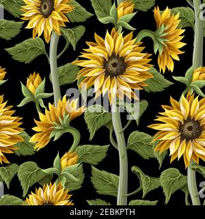 Seamless pattern with sunflowers on a black background. Stock Vector