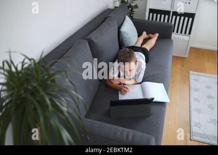 Online education, homeschooling. School boy having online lesson at home on the coach Stock Photo