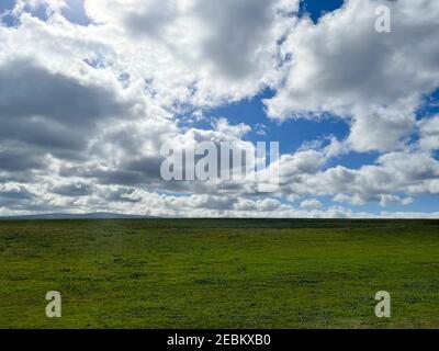 Green Grassland with Storm Cloudy Blue Sky Leaving the Bay Area Stock Photo